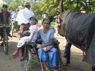 Myanmar Bicycle Taxi
