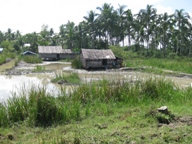 A lot of water in the delta area