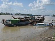 Ceremonial Water Buffalo