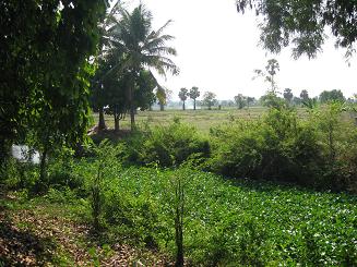 click on image for larger view