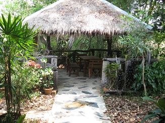 click on image for larger view