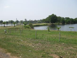 click on image for larger view