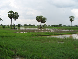 click on image for larger view