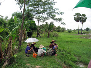 click on image for larger view