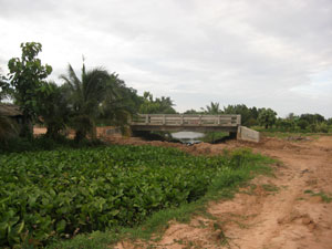 click on image for larger view