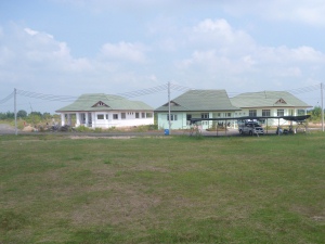 click on image for larger view